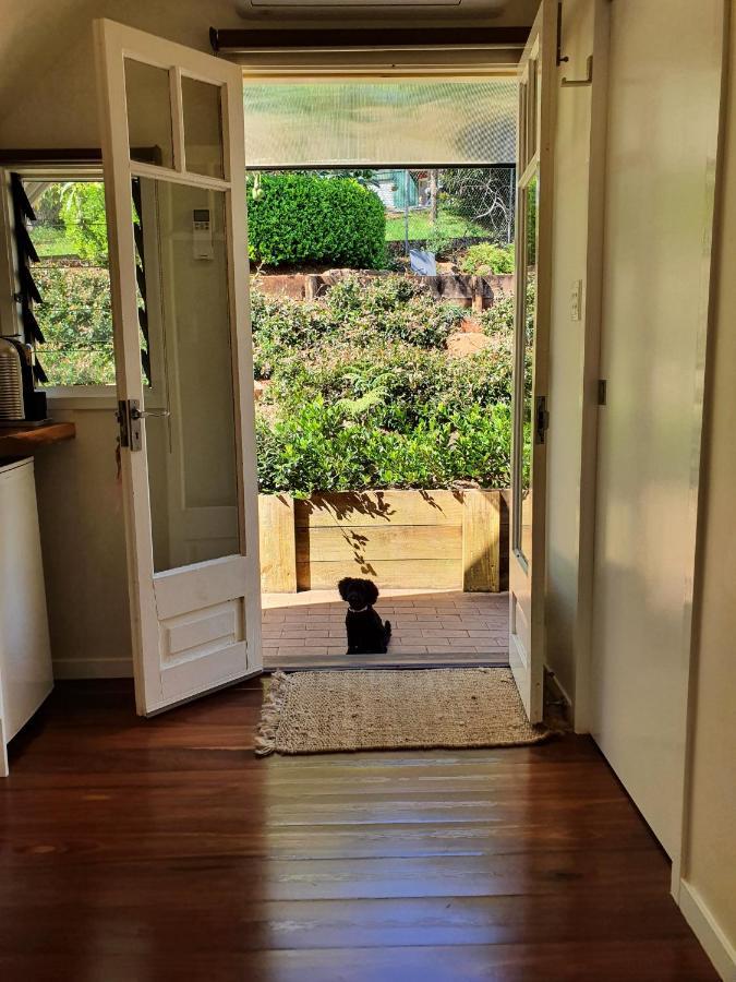 Mountain Studio Escape Mount Tamborine Exterior photo